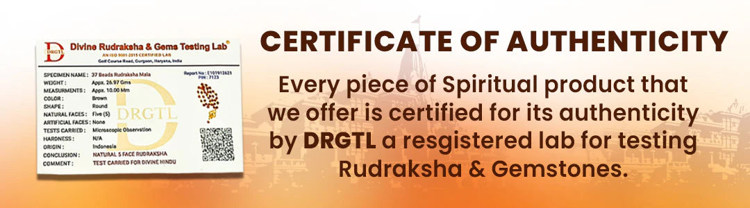 Gold Plated Premium Rudraksha Chain Bracelet