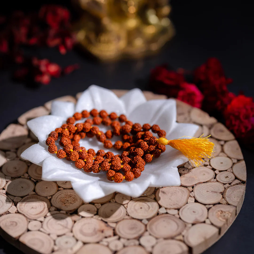 Original Rudraksha Mala (5 Mukhi Mala, 108 beads Mala)