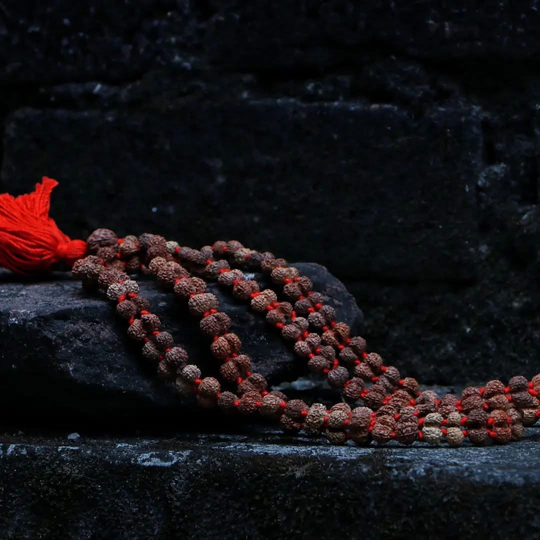 Original Rudraksha Mala (5 Mukhi Mala, 108 beads Mala)