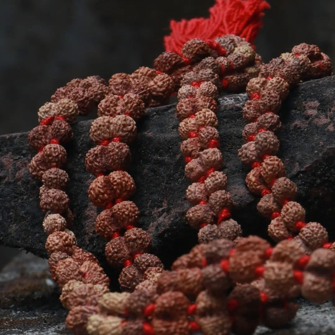 Original Rudraksha Mala (5 Mukhi Mala, 108 beads Mala)